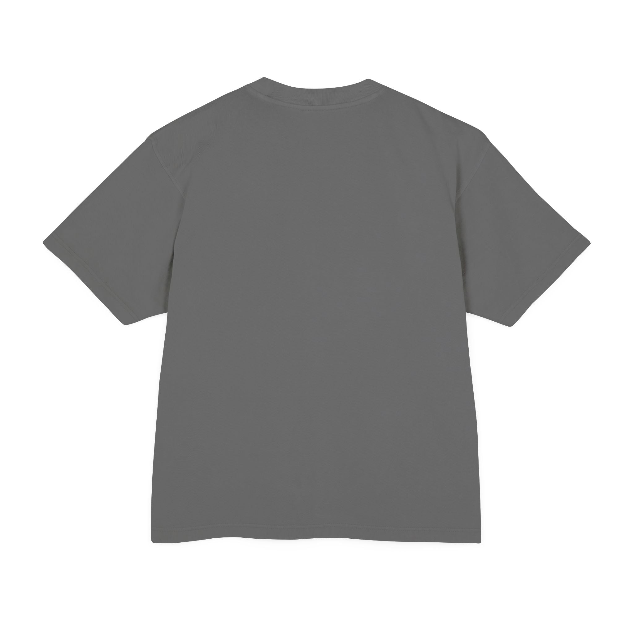 INFLUENCERS LIED T-Shirt | Statement Tee, Bold Typography