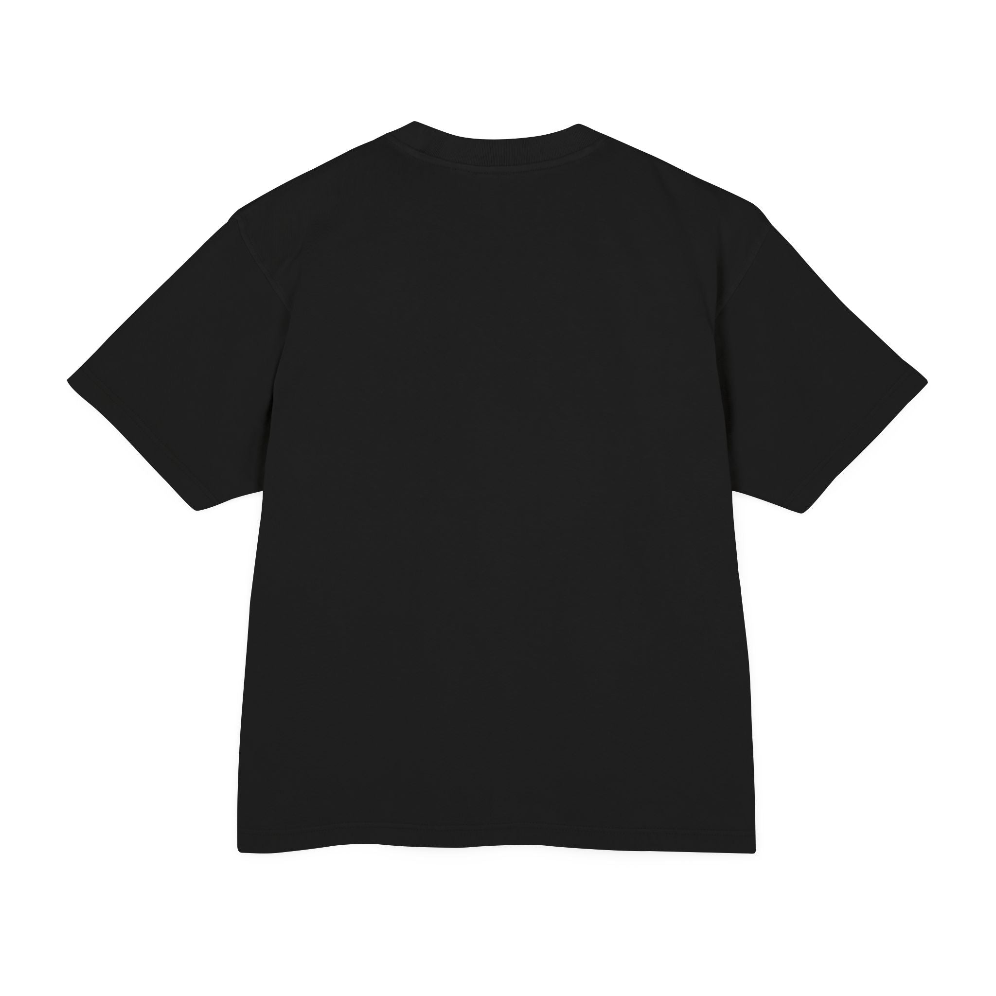 INFLUENCERS LIED T-Shirt | Statement Tee, Bold Typography