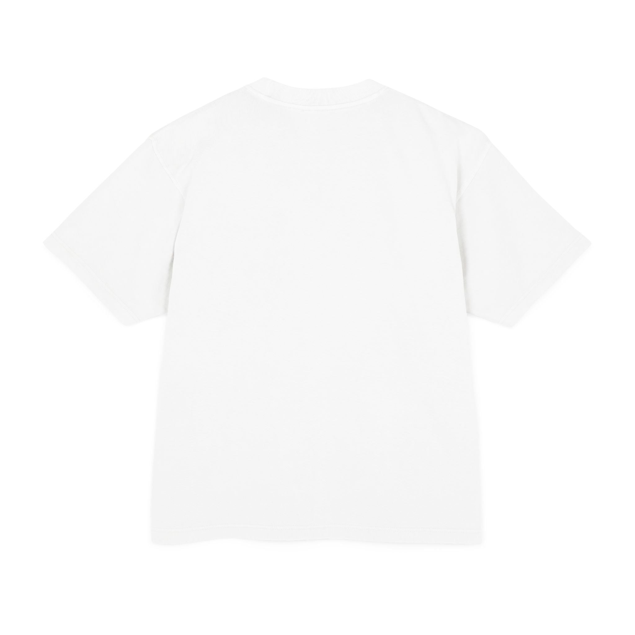INFLUENCERS LIED T-Shirt | Statement Tee, Bold Typography