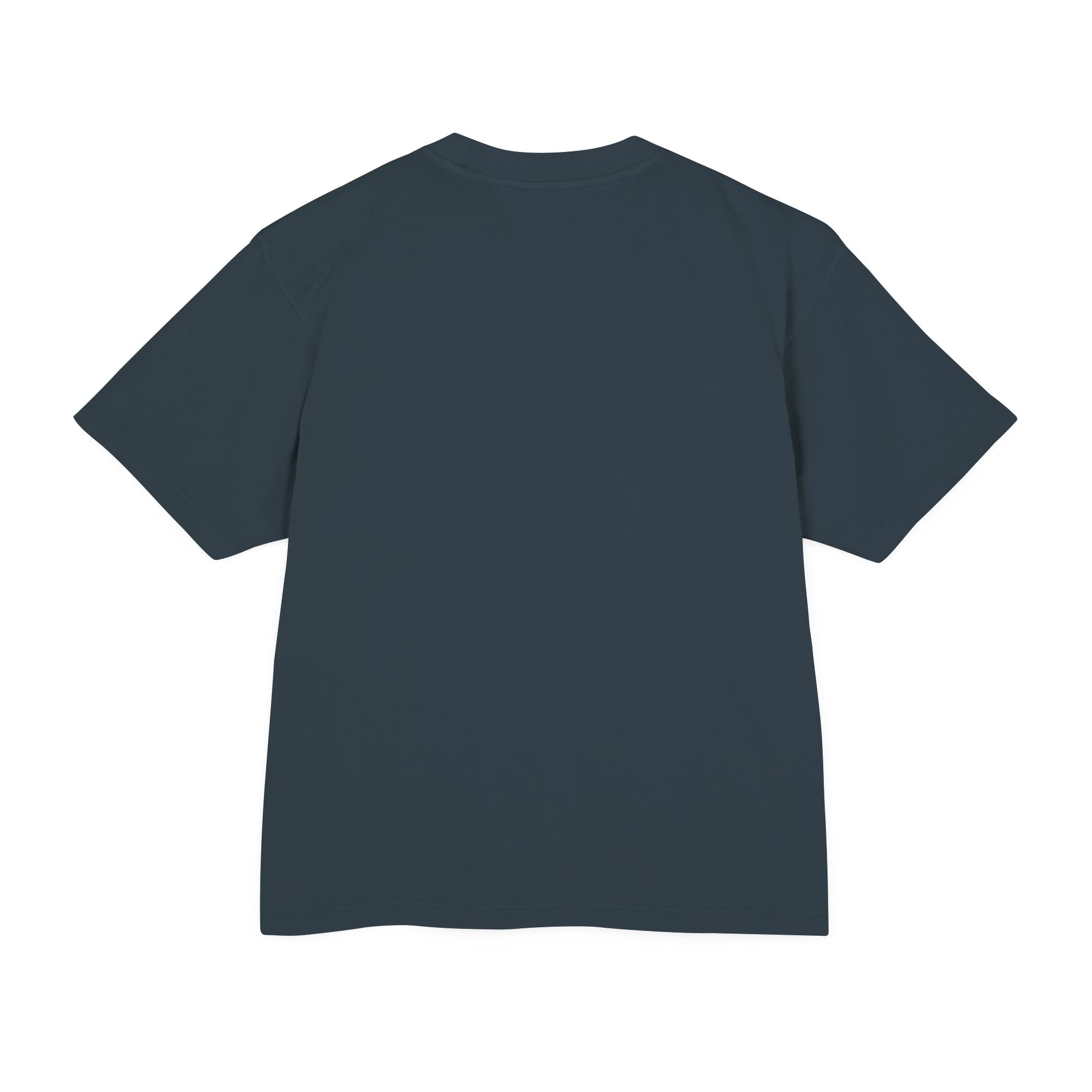 INFLUENCERS LIED T-Shirt | Statement Tee, Bold Typography